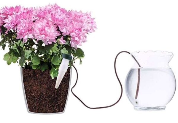 Irigator automat ceramic pentru ghivece cu flori 6